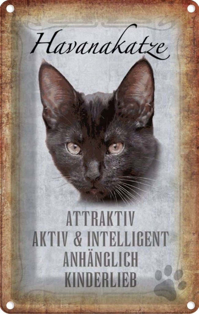 [LA-112738-1812] Blechschild 18x12 cm Havanakatze kinderlieb Tier Haustier Katze