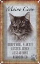 Blechschild 18x12 cm Maine Coon Katze aktiv Tier Haustier