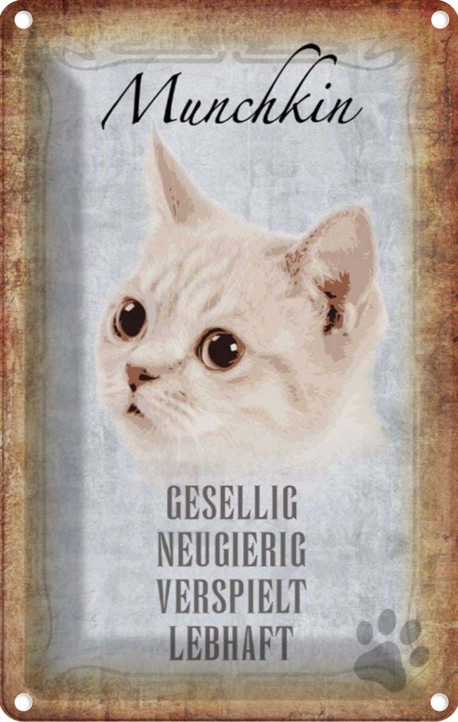 [LA-112742-1812] Blechschild 18x12 cm Munchkin Katze lebhaft Tier Haustier