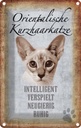 Blechschild 18x12 cm orientalische Kurzhaarkatze Tier Haustier Katze