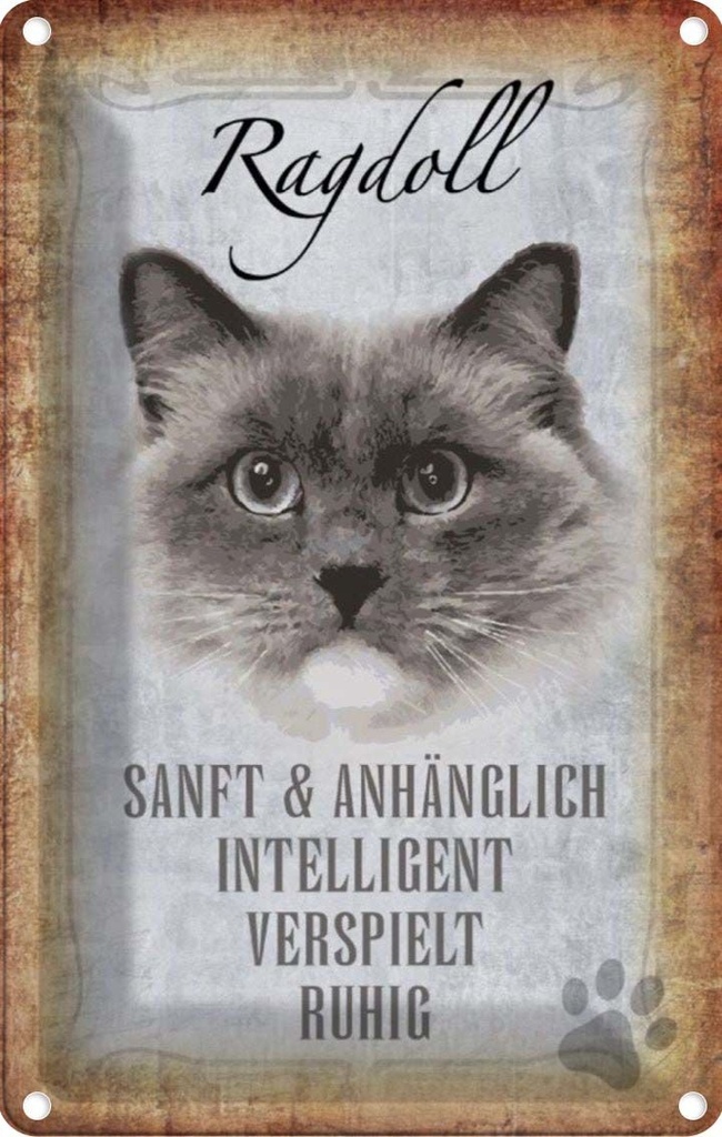 [LA-112747-1812] Blechschild 18x12 cm Ragdoll Katze sanft Tier Haustier