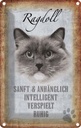 Blechschild 18x12 cm Ragdoll Katze sanft Tier Haustier