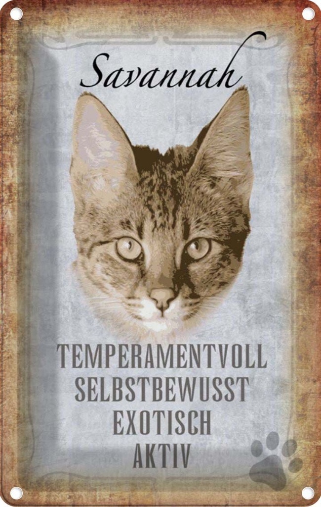 [LA-112749-1812] Blechschild 18x12 cm Savannah Katze exotisch Tier Haustier