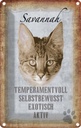 Blechschild 18x12 cm Savannah Katze exotisch Tier Haustier
