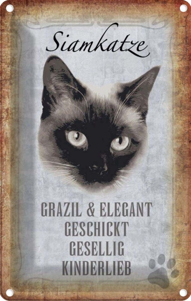 [LA-112752-1812] Blechschild 18x12 cm Siamkatze Katze grazil Tier Haustier