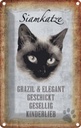 Blechschild 18x12 cm Siamkatze Katze grazil Tier Haustier