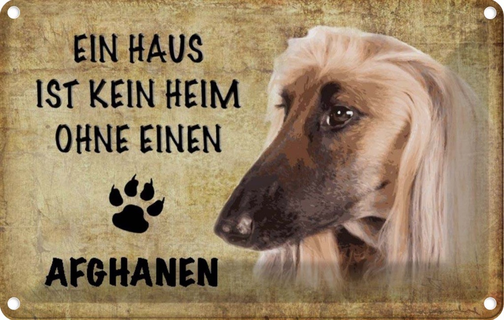 [LA-112765-1812] Blechschild 12x18 cm Afghanen Hund ohne kein Heim Tier Haustier