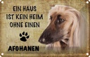 Blechschild 12x18 cm Afghanen Hund ohne kein Heim Tier Haustier