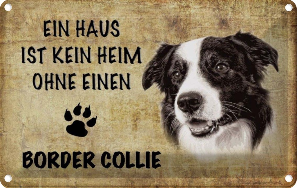 [LA-112766-1812] Blechschild 12x18 cm Border Collie Hund Tier Haustier