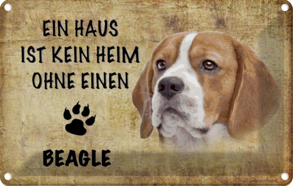 [LA-112769-1812] Blechschild 12x18 cm Beagle Hund ohne kein Heim Tier Haustier