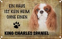 Blechschild 12x18 cm King Charles Spaniel Hund Tier Haustier