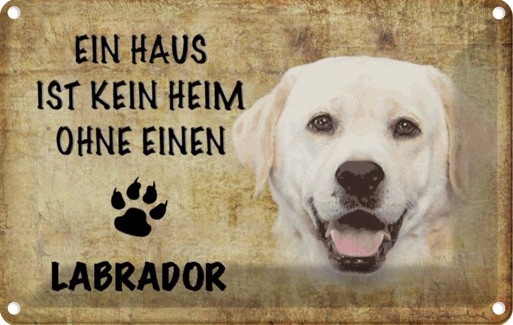 [LA-112782-1812] Blechschild 12x18 cm Labrador Hund ohne kein Heim Tier Haustier