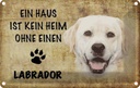 Blechschild 12x18 cm Labrador Hund ohne kein Heim Tier Haustier