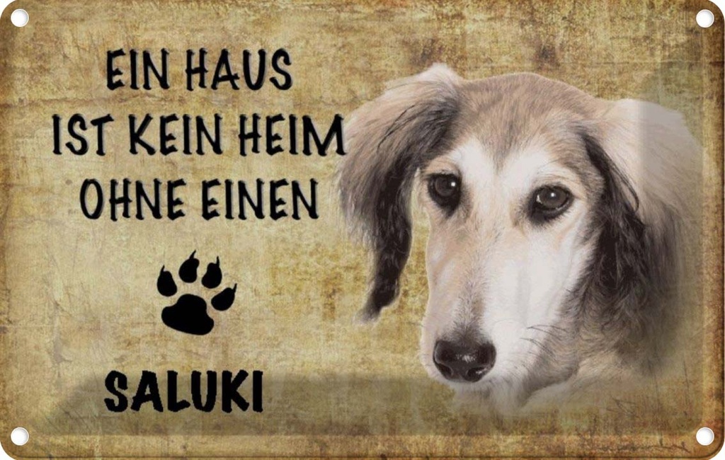 [LA-112790-1812] Blechschild 12x18 cm Saluki Hund ohne kein Heim Tier Haustier