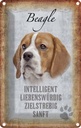 Blechschild 18x12 cm Beagle Hund Tier Haustier