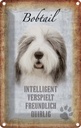 Blechschild 18x12 cm Bobtail Hund verspielt