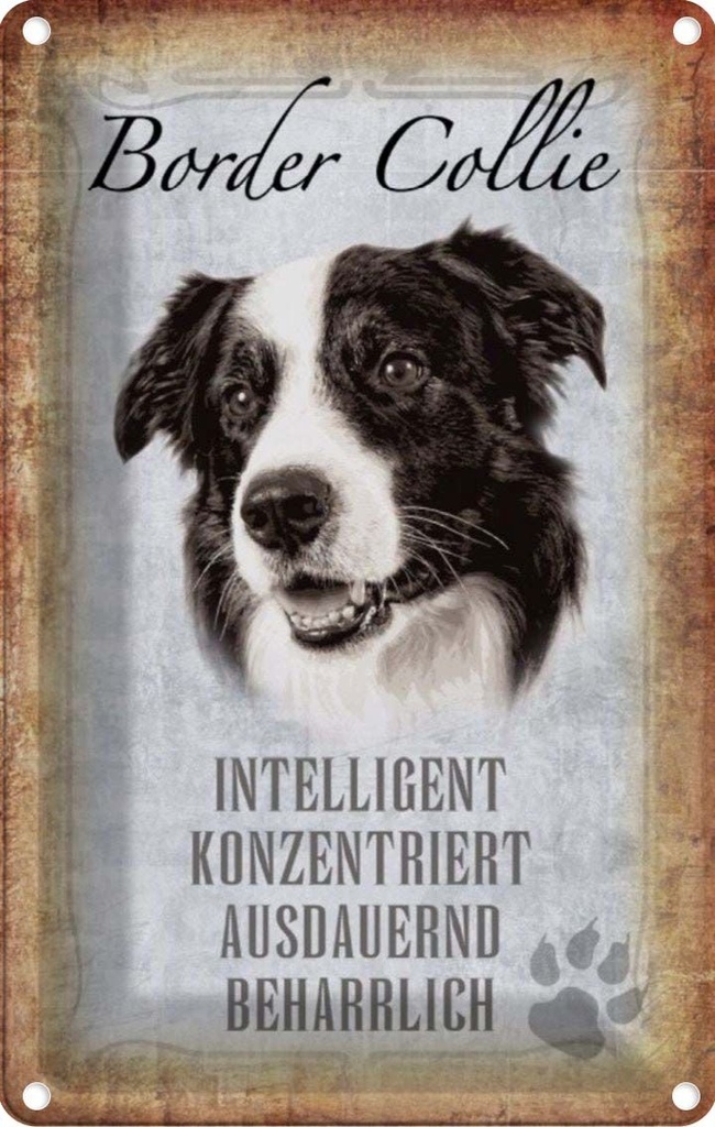 [LA-112807-1812] Blechschild 18x12 cm Border Collie Hund Tier Haustier