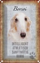 Blechschild 18x12 cm Borsoi Hund athletisch