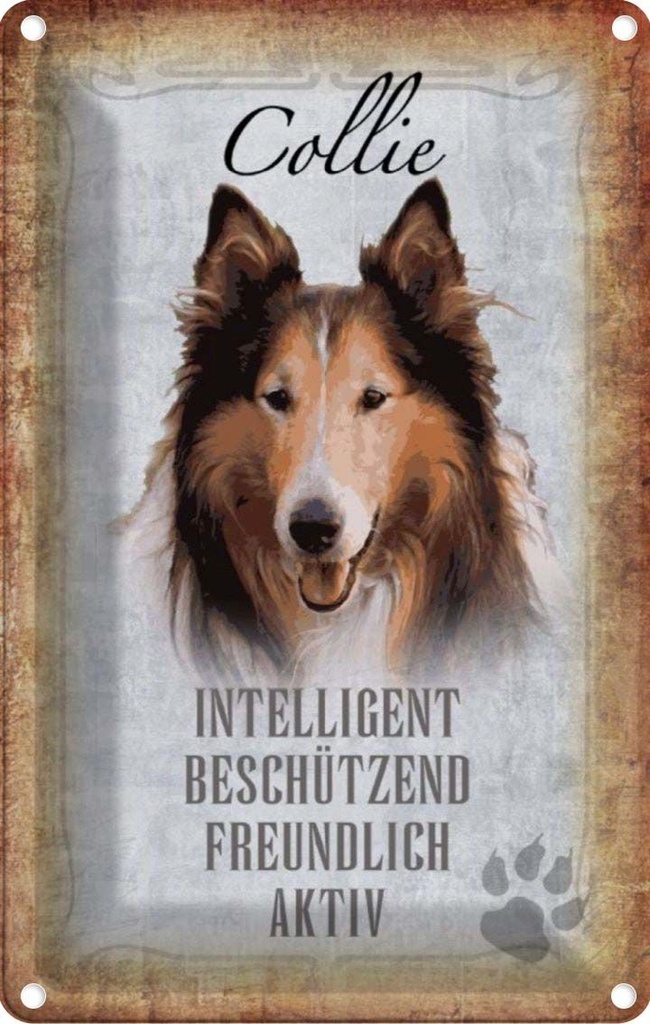 [LA-112813-1812] Blechschild 18x12 cm Collie Hund freundlich Tier Haustier