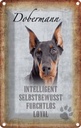 Blechschild 18x12 cm Dobermann Hund loyal Tier Haustier