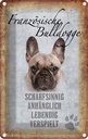 Blechschild 18x12 cm Französische Bulldogge Hund Tier Haustier