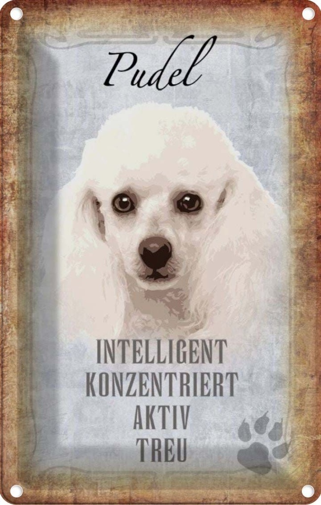 [LA-112828-1812] Blechschild 18x12 cm Pudel Hund aktiv Tier Haustier