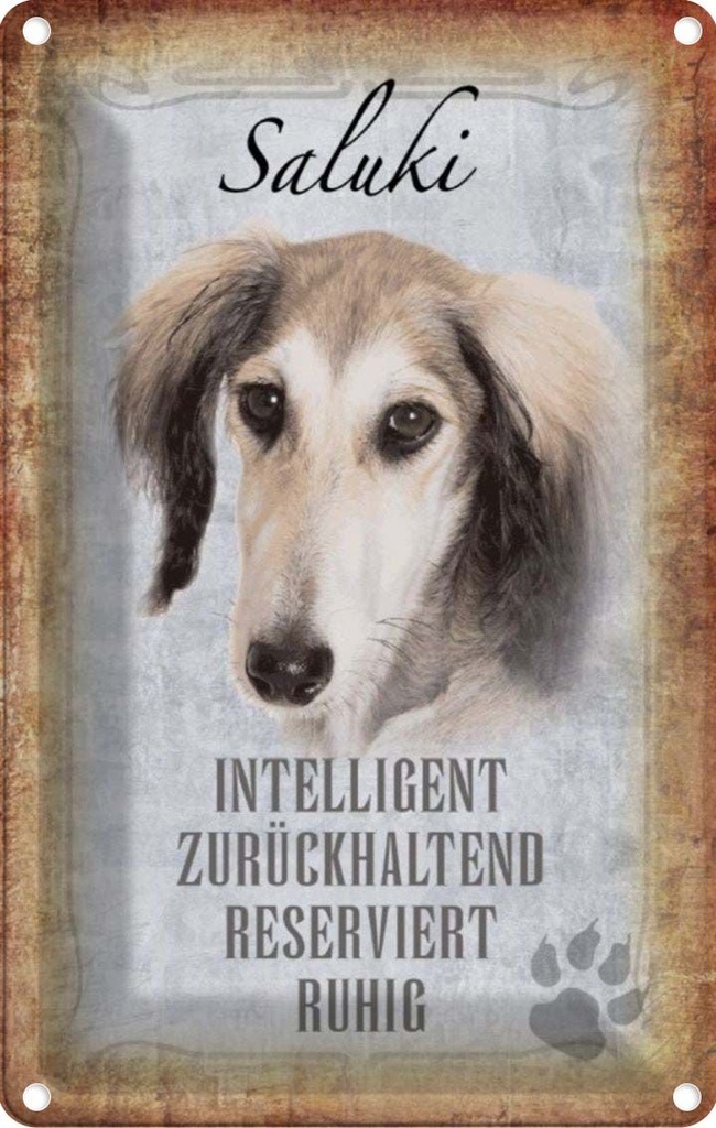 [LA-112832-1812] Blechschild 18x12 cm Saluki Hund ruhig Tier Haustier