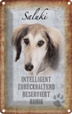 Blechschild 18x12 cm Saluki Hund ruhig Tier Haustier