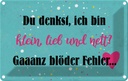 Blechschild 12x18 cm du denkst ich bin klein lieb Dekoration Spruch Zitat