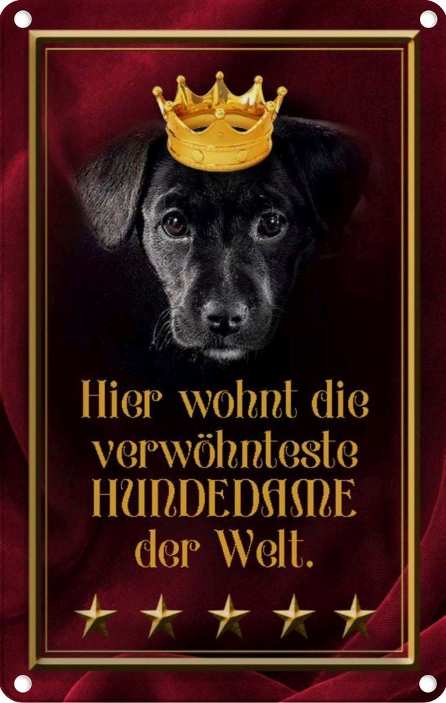 [LA-112931-1812] Blechschild 18x12 cm hier wohnt Hundedame der Welt Tier Haustier Hund