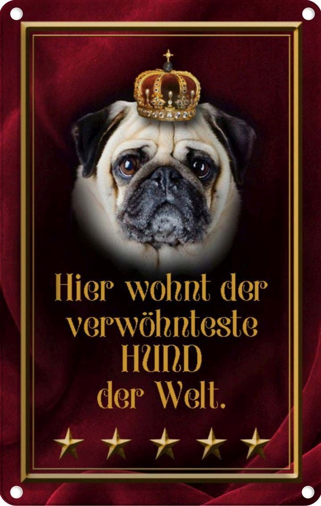 [LA-112932-1812] Blechschild 18x12 cm hier wohnt Hund der Welt Tier Haustier