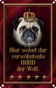 Blechschild 18x12 cm hier wohnt Hund der Welt Tier Haustier