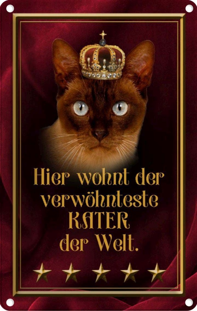 [LA-112934-1812] Blechschild 18x12 cm hier wohnt Kater der Welt Tier Haustier Katze