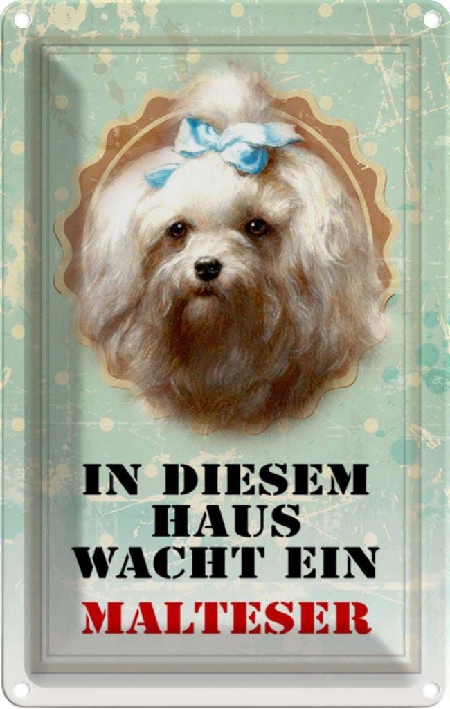 [LA-112938-1812] Blechschild 18x12 cm Hund in diesem Haus wacht Malteser Tier Haustier