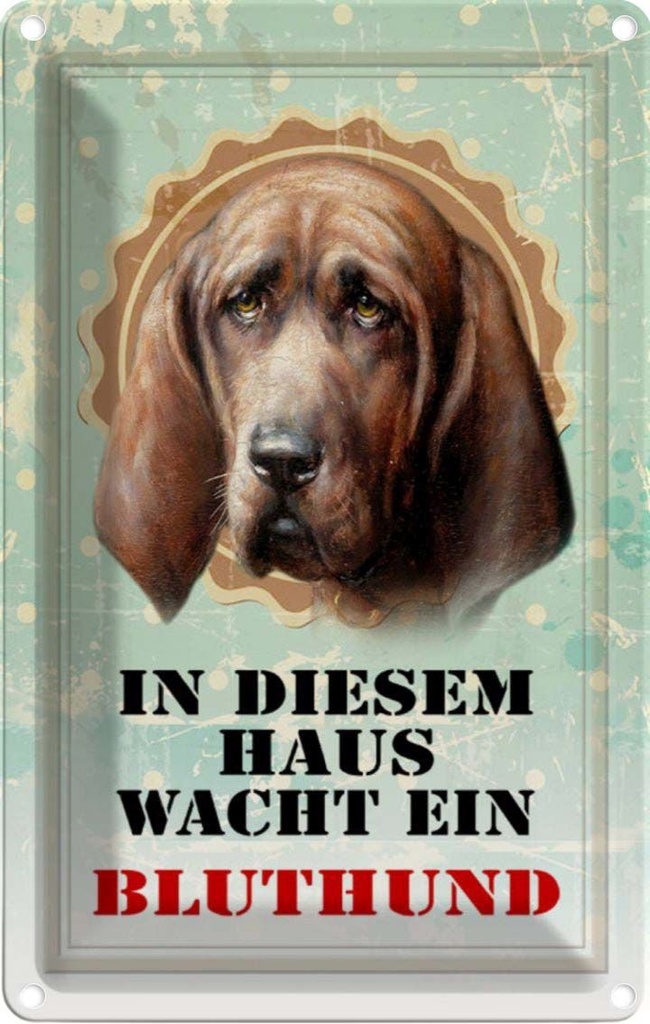 [LA-112943-1812] Blechschild 18x12 cm Hund in diesem Haus wacht Bluthund Tier Haustier