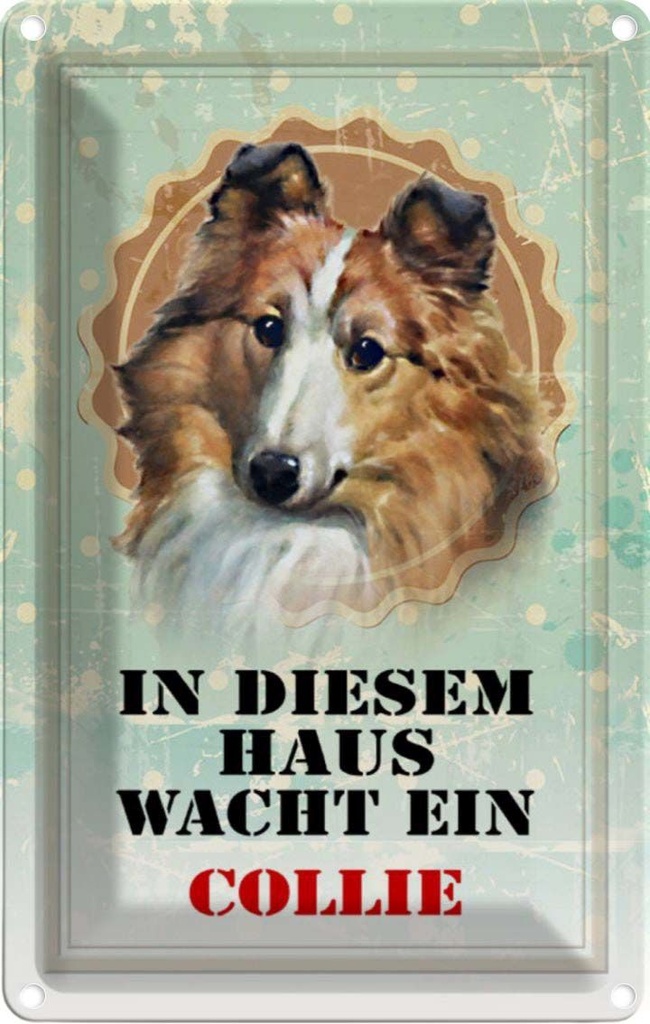 [LA-112954-1812] Blechschild 18x12 cm Hund in diesem Haus wacht ein Collie Tier Haustier