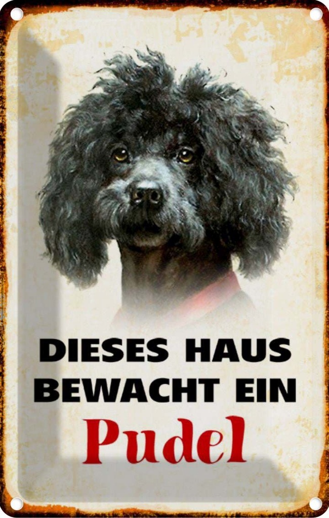 [LA-112962-1812] Blechschild 18x12 cm Hund dieses Haus bewacht ein Pudel Tier Haustier