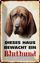 Blechschild 18x12 cm Hund dieses Haus bewacht ein Bluthund Tier Haustier