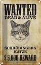 Blechschild 18x12 cm Tiere wanted Schrödingers Katze Tier Haustier