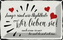 Blechschild 12x18 cm Jungs sind Kinder Teens Spruch Zitat wie Highheels wir Witz Humor Lustig Spaß Kids