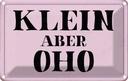 Blechschild 12x18 cm klein aber Oho Geschenk Familie Freunde