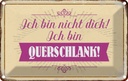 Blechschild 12x18 cm bin nicht dick ich querschlank Spruch Zitat