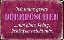 Blechschild 12x18 cm ich gerne Dornröschen ohne Prinz Spruch Zitat
