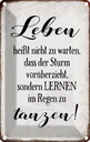 Blechschild 18x12 cm Leben lernen im Regen zu tanzen Spruch Zitat