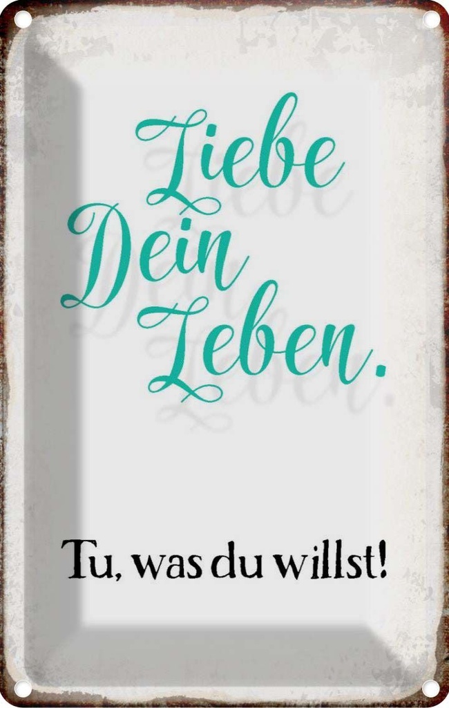 [LA-113352-1812] Blechschild 18x12 cm liebe dein Leben tue was willst Spruch Zitat