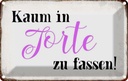 Blechschild 12x18 cm kaum in Torte zu fassen Dekoration Spruch Zitat