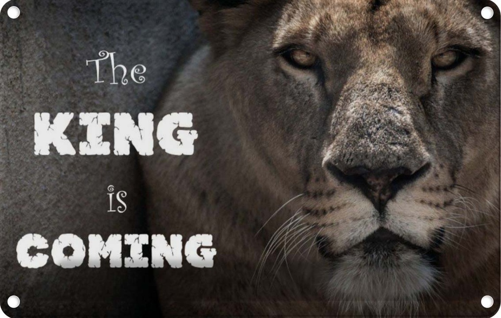 [LA-113555-1812] Blechschild 12x18 cm Löwe The King is coming Dekoration