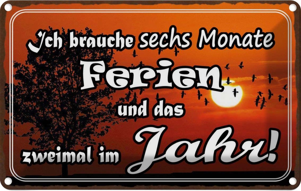 [LA-113574-1812] Blechschild 12x18 cm brauche 6 Monate Ferien 2 Mal Dekoration Spruch Zitat