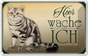 Blechschild 12x18 cm Katze American Shorthair hier wache Tier Haustier