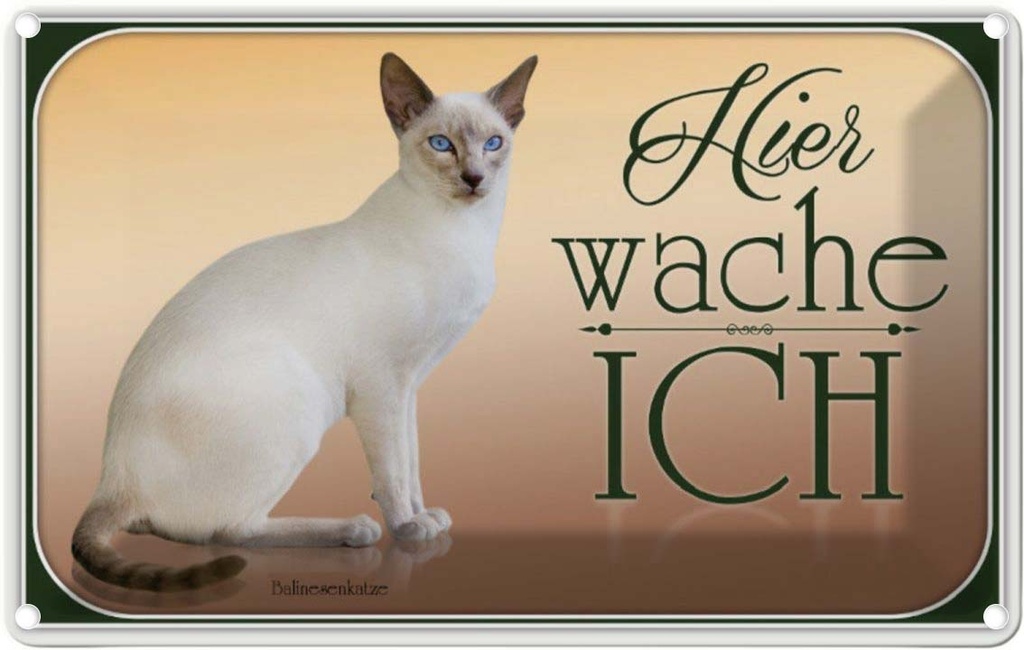 [LA-113746-1812] Blechschild 12x18 cm Katze Balinesenkatze hier wache ich Tier Haustier